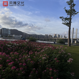 国产片淫乱一级毛片视频
